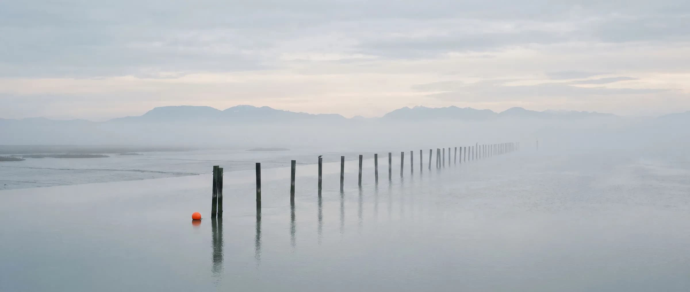 The Fraser River delta near Vancouver, BC at dawn, with weathered pilings in the fog and a single orange buoy